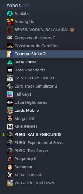 Steam Cs2(Premium) 2K Horas + Pubg (Plus+) + Jogos.
