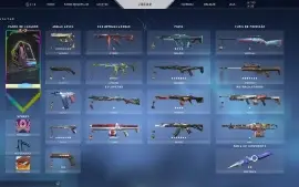 Conta Valorant - varias skins