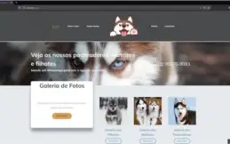 Site Para Canil 100% Responsivo