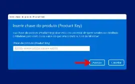 Windows 10 Pro + Windows 11 Pro