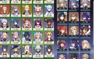 Conta Hoyoverse - Genshin Impact R55 E Star Rail R65 /Juntas