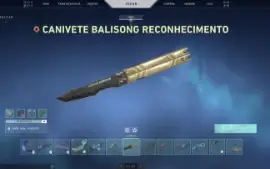 Conta Valorant + 25 Kins (Asc 1 Ato Anterior) (2.1K Gastos)