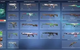 conta lol e valorant, 217 skins