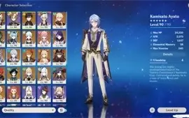 AR59|RAIDEN C3|EULA C1|AYATO| 20 chars 5* | 18 Armas 5*