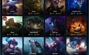 Conta platina- III QUASE TODOS OS CHAMPS
