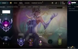 Conta D4 95 skins