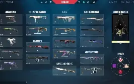 Conta valorant com varias skins card beta e imortal S1