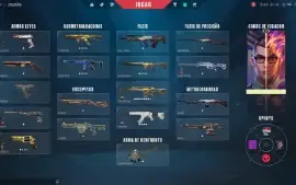 Conta Valorant 33 Skins+ 1 Facas Elo: Ferro 3 Lv: 80 Origin