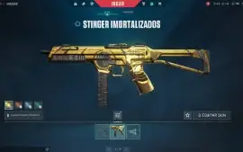 Conta Valorant 33 Skins+ 1 Facas Elo: Ferro 3 Lv: 80 Origin