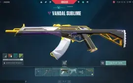 Conta Valorant 33 Skins+ 1 Facas Elo: Ferro 3 Lv: 80 Origin