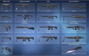 Conta Valorant Pack Saqueador e Singularidade + Várias Skins