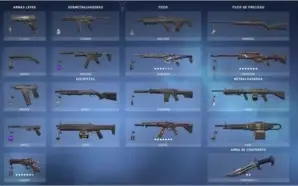 Conta Valorant Pack Saqueador e Singularidade + Várias Skins