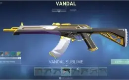 Conta Valorant Pack Saqueador e Singularidade + Várias Skins