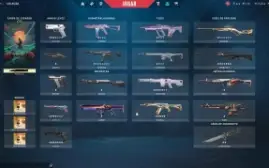 Conta de valorant do beta, 3k+ skins, mmr radiante