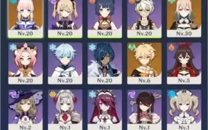 AR20 Kokomi + Jean + armas t4 + constelações