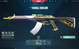 Conta Valorant Imortal Com Skin