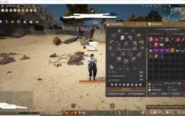 Guardian/ Strike 281ap 323DP