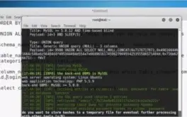 Curso de Hacking e Pentest (12 videos aulas) + Certificado