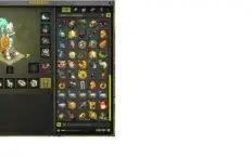 Dofus Conta no Servidor Illyzaell'6e