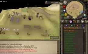 Conta OSRS 700 reais