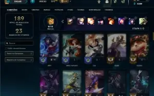 Ferro 1 com 80 Champs e 68 Skins