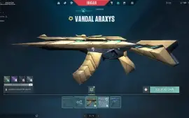 Conta Valorant 700+ Reais Gastos