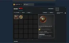 CONTA STEAM MEDALHAS CSGO DE 5 e 10 ANOS -16 ANOS DE SERVIÇO