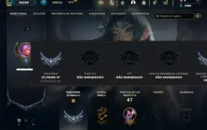 Prata 4 com 26 Champs e 5 Skins + 1 Fragmento
