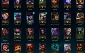 Conta League Of Legends 46 Skin