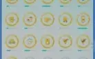 Conta lv 40 de 2016, com vários pokémons raros