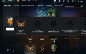 Conta ouro 1 com 26 Champs e 10 Fragmentos de skins