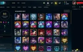 CONTA 800 SKINS - FULL CAMPEÕES - SERVIDOR NA