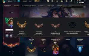 Bronze 1 com 135 Champs e 177 Skins ( ADC / SUP )