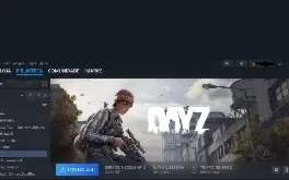 Conta steam com DayZ (988 horas) e outros