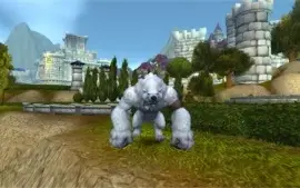Conta Shadowlands com Druid Mage Tower, CM MoP, CM WoD e +