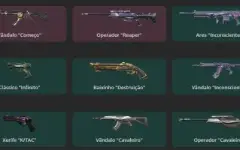 Conta Valorant 800 reais gastos