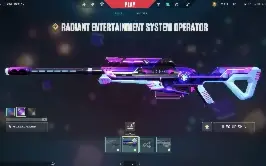 Conta Valorant Ascendente, Total gastos 8505,20
