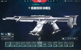 Conta Valorant Ascendente, Total gastos 8505,20