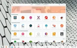 Zorin OS x64 Final Pro v.16 Oficial