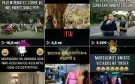 Conta TikTok 195k Seguidores - Nicho Comédia (Paulo Gustavo)