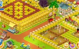 Conta Hay Day