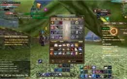 CONTA PERFECT WORLD SERVIDOR GEMINI = SK LVL104 + EP LVL102