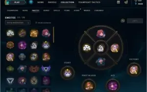 CONTA LOL 244 SKINS, TODOS OS CAMPEÕES E MASCOTE DO TFT