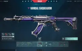 Conta Valorant 118 Skins