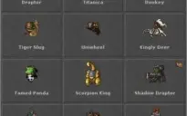 Royal Paladin 511 - Open Pvp - 6 Runas - Skill 123 na Barra