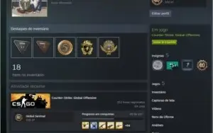 CS:GO PRIME: STEAM 7 ANOS / 5 MEDALHAS / 109 WINS / 354HRs