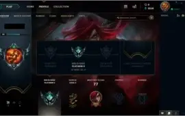 CONTA PLATINA 2