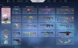 conta rara com varias skins!!!