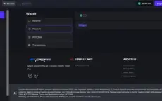 Front Vip + Instalação Em Seu Viper Pro