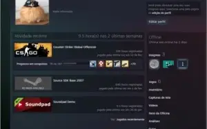 Conta steam csgo + rust e skins